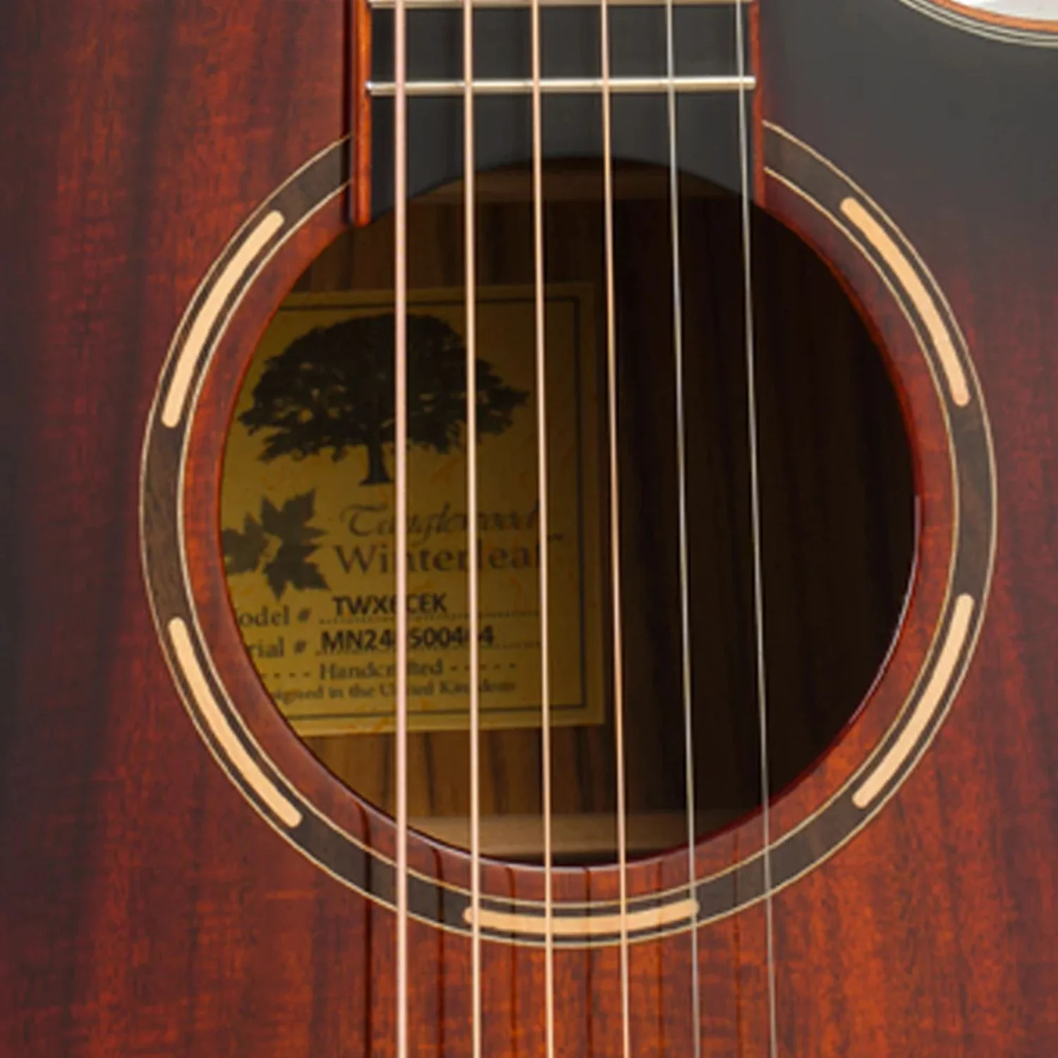 Tanglewood TWX6CEK Winterleaf Venetian Cutaway Electro Acoustic Guitar - Image 6
