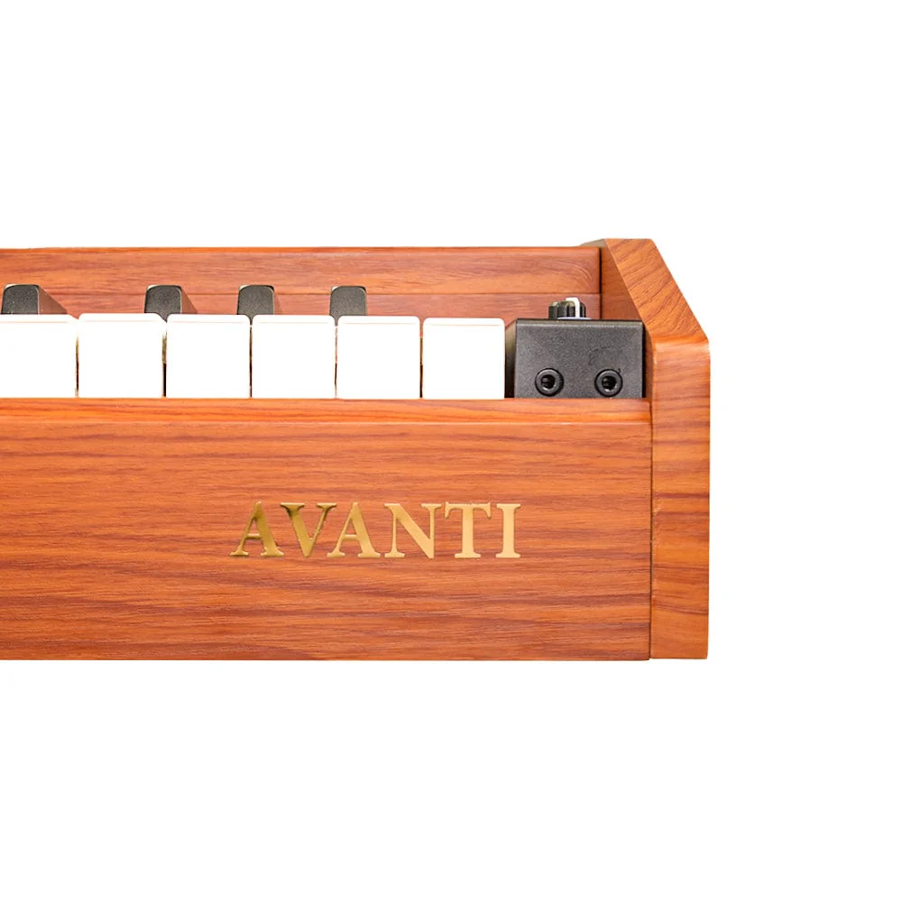 Vault Avanti 88 Weighted Keys Digital Piano - Open Box - Image 15
